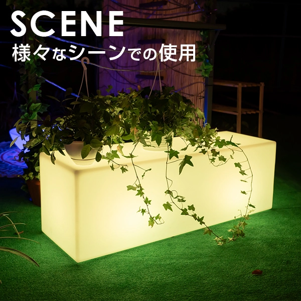 SIRIUS STRAIGHT(シリウス ストレート) - 画像 (15)