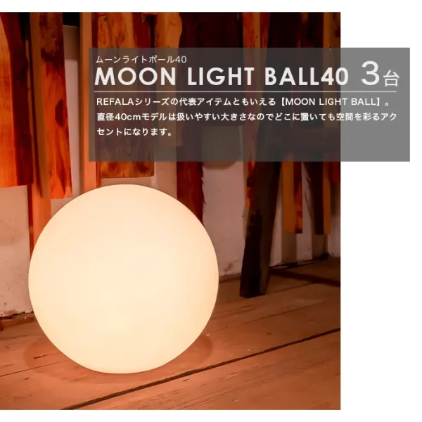 12点パッケージ<br>PAVO(パーヴォ)